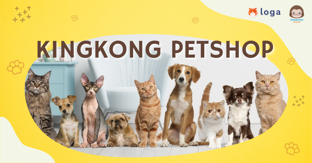 ครบเครื่องเรื่องสัตว์เลี้ยง กับ Kingkong Petshop