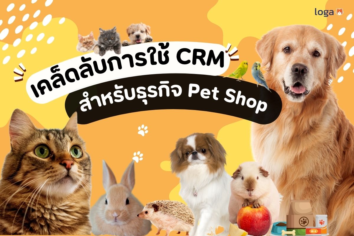 เคล็ดลับการใช้ CRM ช่วยดูแลลูกค้า ร้าน Pet Shop