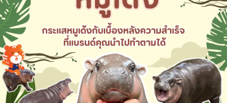 กระแสหมูเด้งกับเบื้องหลังความสำเร็จ ที่แบรนด์คุณนำไปทำตามได้