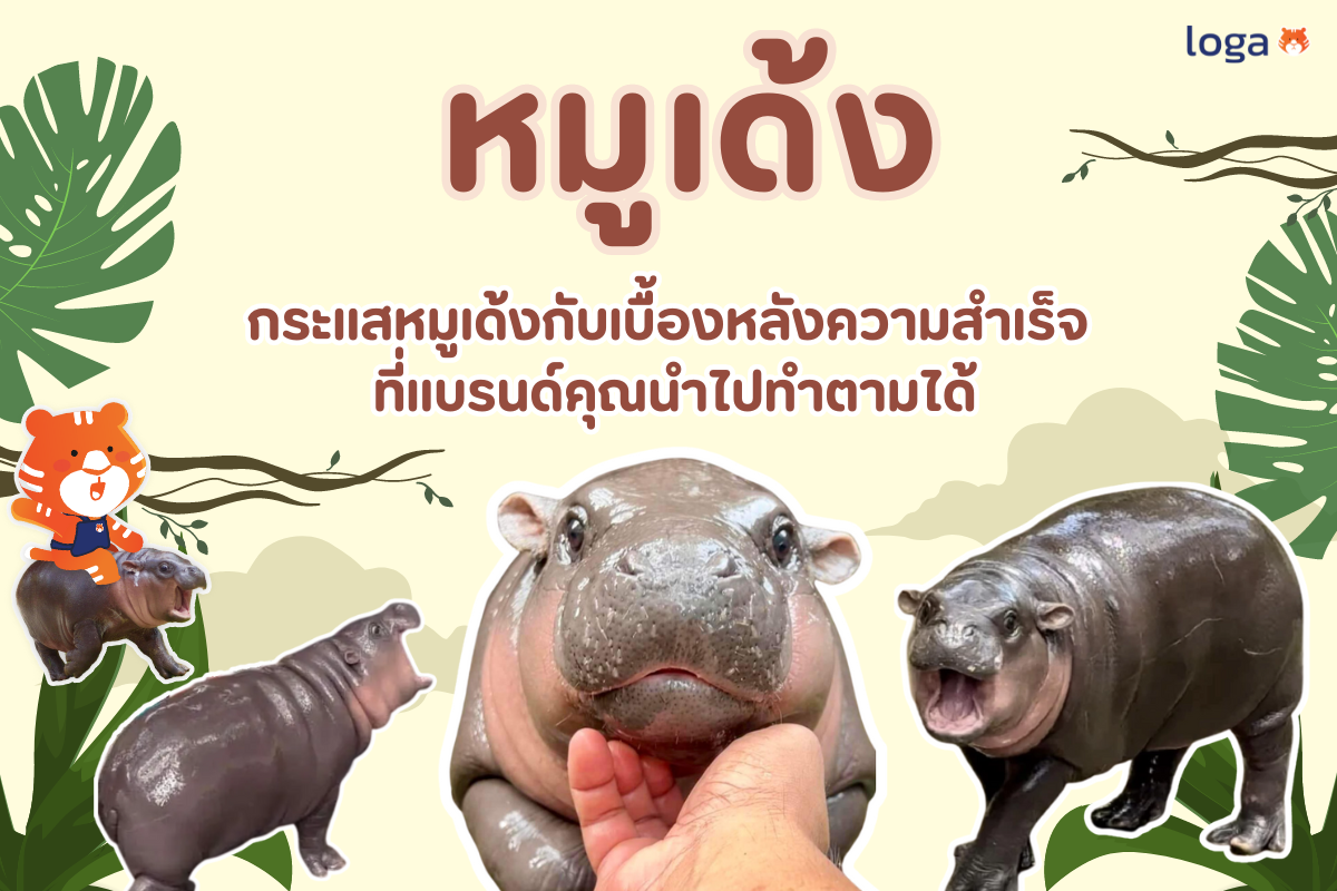 กระแสหมูเด้งกับเบื้องหลังความสำเร็จ ที่แบรนด์คุณนำไปทำตามได้